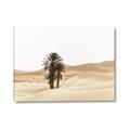 Picture of Sandy Desert  _GroupedProduct_Rectangle_Landscape_Photography _GroupedProduct_Rectangle_Landscape_Canvas_
