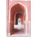 Picture of Pink Architecture _GroupedProduct_Rectangle_Portrait_Photography _GroupedProduct_Rectangle_Portrait_Canvas_