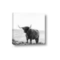 Picture of Scottish Fields Highland B&W _GroupedProduct_Square_Photography _GroupedProduct_Square_Canvas_