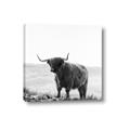Picture of Scottish Fields Highland B&W _GroupedProduct_Square_Photography _GroupedProduct_Square_Canvas_