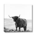 Picture of Scottish Fields Highland B&W _GroupedProduct_Square_Photography _GroupedProduct_Square_Canvas_