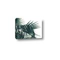 Picture of Behind the Leaves _GroupedProduct_Rectangle_Landscape_Photography _GroupedProduct_Rectangle_Landscape_Canvas_