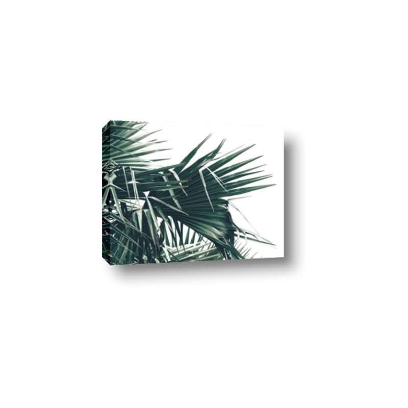 Picture of Behind the Leaves _GroupedProduct_Rectangle_Landscape_Photography _GroupedProduct_Rectangle_Landscape_Canvas_
