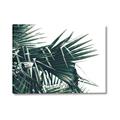 Picture of Behind the Leaves _GroupedProduct_Rectangle_Landscape_Photography _GroupedProduct_Rectangle_Landscape_Canvas_