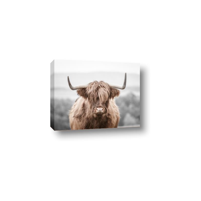 Picture of Hairy Brown _GroupedProduct_Rectangle_Landscape_Photography _GroupedProduct_Rectangle_Landscape_Canvas_