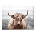 Picture of Hairy Brown _GroupedProduct_Rectangle_Landscape_Photography _GroupedProduct_Rectangle_Landscape_Canvas_