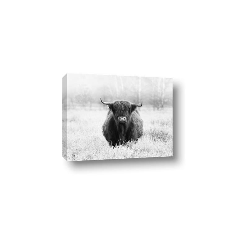 Picture of Hiding in the Grass _GroupedProduct_Rectangle_Landscape_Photography _GroupedProduct_Rectangle_Landscape_Canvas_