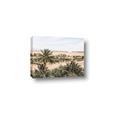 Picture of Desert Greens _GroupedProduct_Rectangle_Landscape_Photography _GroupedProduct_Rectangle_Landscape_Canvas_