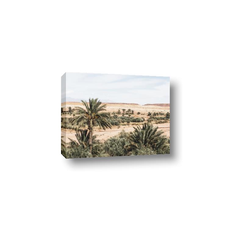 Picture of Desert Greens _GroupedProduct_Rectangle_Landscape_Photography _GroupedProduct_Rectangle_Landscape_Canvas_