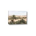 Picture of Desert Greens _GroupedProduct_Rectangle_Landscape_Photography _GroupedProduct_Rectangle_Landscape_Canvas_