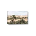Picture of Desert Greens _GroupedProduct_Rectangle_Landscape_Photography _GroupedProduct_Rectangle_Landscape_Canvas_