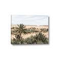 Picture of Desert Greens _GroupedProduct_Rectangle_Landscape_Photography _GroupedProduct_Rectangle_Landscape_Canvas_