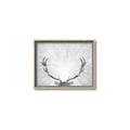 Picture of Forest King  _GroupedProduct_Rectangle_Landscape_Photography _GroupedProduct_Rectangle_Landscape_Canvas_Framed_