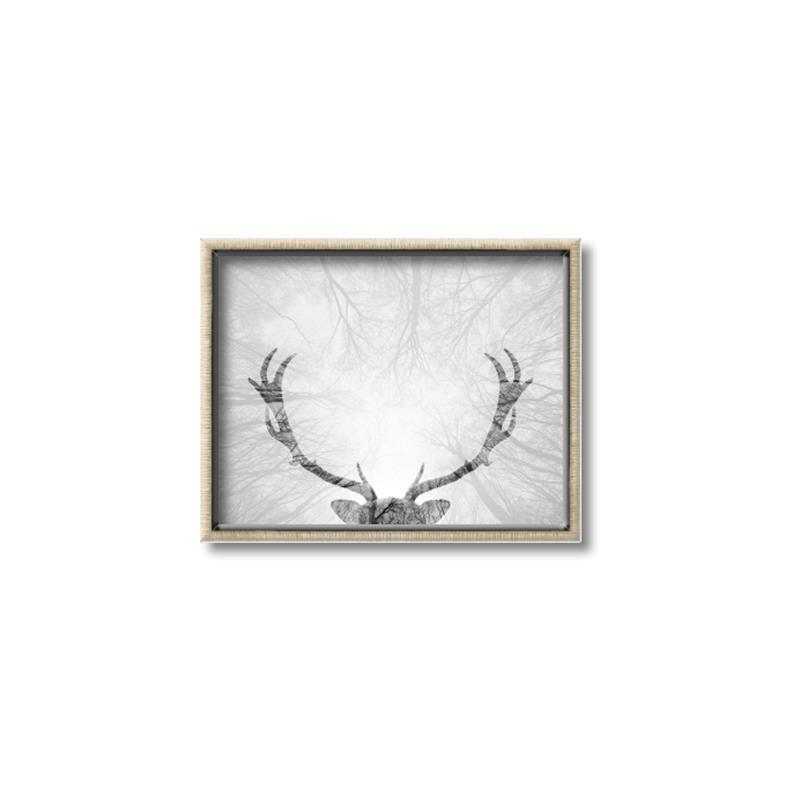 Picture of Forest King  _GroupedProduct_Rectangle_Landscape_Photography _GroupedProduct_Rectangle_Landscape_Canvas_Framed_