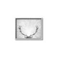 Picture of Forest King  _GroupedProduct_Rectangle_Landscape_Photography _GroupedProduct_Rectangle_Landscape_Canvas_Framed_