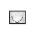 Picture of Forest King  _GroupedProduct_Rectangle_Landscape_Photography _GroupedProduct_Rectangle_Landscape_Canvas_Framed_