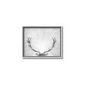 Picture of Forest King  _GroupedProduct_Rectangle_Landscape_Photography _GroupedProduct_Rectangle_Landscape_Canvas_Framed_