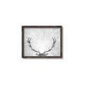 Picture of Forest King  _GroupedProduct_Rectangle_Landscape_Photography _GroupedProduct_Rectangle_Landscape_Canvas_Framed_