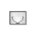 Picture of Forest King  _GroupedProduct_Rectangle_Landscape_Photography _GroupedProduct_Rectangle_Landscape_Canvas_Framed_