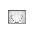 Picture of Forest King  _GroupedProduct_Rectangle_Landscape_Photography _GroupedProduct_Rectangle_Landscape_Canvas_Framed_