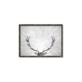 Picture of Forest King  _GroupedProduct_Rectangle_Landscape_Photography _GroupedProduct_Rectangle_Landscape_Canvas_Framed_