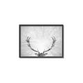 Picture of Forest King  _GroupedProduct_Rectangle_Landscape_Photography _GroupedProduct_Rectangle_Landscape_Canvas_Framed_