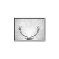 Picture of Forest King  _GroupedProduct_Rectangle_Landscape_Photography _GroupedProduct_Rectangle_Landscape_Canvas_Framed_