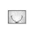 Picture of Forest King  _GroupedProduct_Rectangle_Landscape_Photography _GroupedProduct_Rectangle_Landscape_Canvas_Framed_