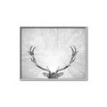 Picture of Forest King  _GroupedProduct_Rectangle_Landscape_Photography _GroupedProduct_Rectangle_Landscape_Canvas_Framed_