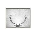 Picture of Forest King  _GroupedProduct_Rectangle_Landscape_Photography _GroupedProduct_Rectangle_Landscape_Canvas_Framed_
