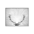 Picture of Forest King  _GroupedProduct_Rectangle_Landscape_Photography _GroupedProduct_Rectangle_Landscape_Canvas_Framed_