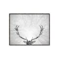 Picture of Forest King  _GroupedProduct_Rectangle_Landscape_Photography _GroupedProduct_Rectangle_Landscape_Canvas_Framed_