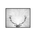 Picture of Forest King  _GroupedProduct_Rectangle_Landscape_Photography _GroupedProduct_Rectangle_Landscape_Canvas_Framed_
