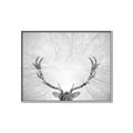 Picture of Forest King  _GroupedProduct_Rectangle_Landscape_Photography _GroupedProduct_Rectangle_Landscape_Canvas_Framed_