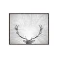 Picture of Forest King  _GroupedProduct_Rectangle_Landscape_Photography _GroupedProduct_Rectangle_Landscape_Canvas_Framed_
