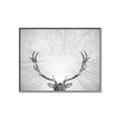 Picture of Forest King  _GroupedProduct_Rectangle_Landscape_Photography _GroupedProduct_Rectangle_Landscape_Canvas_Framed_