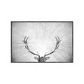 Picture of Forest King  _GroupedProduct_Rectangle_Landscape_Photography _GroupedProduct_Rectangle_Landscape_Canvas_Framed_