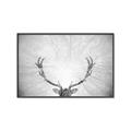 Picture of Forest King  _GroupedProduct_Rectangle_Landscape_Photography _GroupedProduct_Rectangle_Landscape_Canvas_Framed_