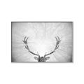 Picture of Forest King  _GroupedProduct_Rectangle_Landscape_Photography _GroupedProduct_Rectangle_Landscape_Canvas_Framed_