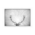 Picture of Forest King  _GroupedProduct_Rectangle_Landscape_Photography _GroupedProduct_Rectangle_Landscape_Canvas_Framed_