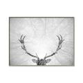 Picture of Forest King  _GroupedProduct_Rectangle_Landscape_Photography _GroupedProduct_Rectangle_Landscape_Canvas_Framed_