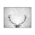 Picture of Forest King  _GroupedProduct_Rectangle_Landscape_Photography _GroupedProduct_Rectangle_Landscape_Canvas_Framed_