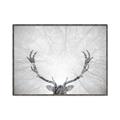 Picture of Forest King  _GroupedProduct_Rectangle_Landscape_Photography _GroupedProduct_Rectangle_Landscape_Canvas_Framed_