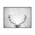 Picture of Forest King  _GroupedProduct_Rectangle_Landscape_Photography _GroupedProduct_Rectangle_Landscape_Canvas_Framed_