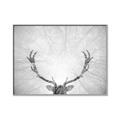 Picture of Forest King  _GroupedProduct_Rectangle_Landscape_Photography _GroupedProduct_Rectangle_Landscape_Canvas_Framed_