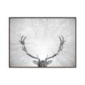 Picture of Forest King  _GroupedProduct_Rectangle_Landscape_Photography _GroupedProduct_Rectangle_Landscape_Canvas_Framed_