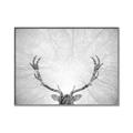 Picture of Forest King  _GroupedProduct_Rectangle_Landscape_Photography _GroupedProduct_Rectangle_Landscape_Canvas_Framed_