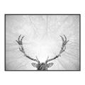Picture of Forest King  _GroupedProduct_Rectangle_Landscape_Photography _GroupedProduct_Rectangle_Landscape_Canvas_Framed_