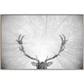 Picture of Forest King  _GroupedProduct_Rectangle_Landscape_Photography _GroupedProduct_Rectangle_Landscape_Canvas_Framed_