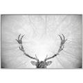 Picture of Forest King  _GroupedProduct_Rectangle_Landscape_Photography _GroupedProduct_Rectangle_Landscape_Canvas_Framed_